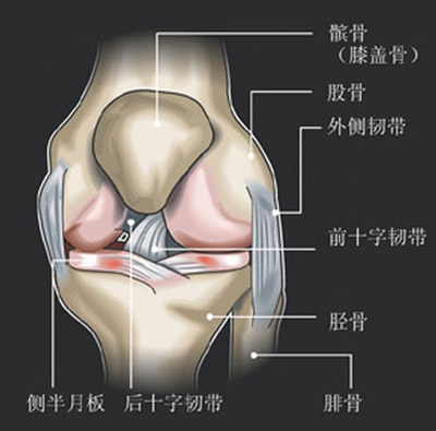 跑步机伤膝盖？专家称科学使用跑步机不会伤膝盖